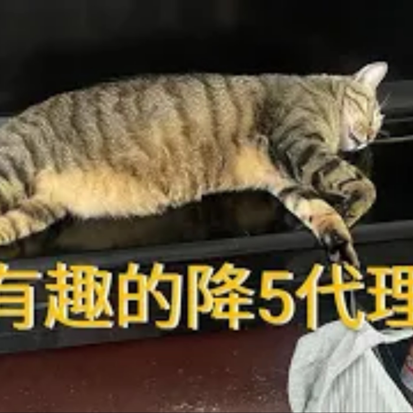 黏tt獨立音樂筆記《第二十七集：有趣的降5代理》