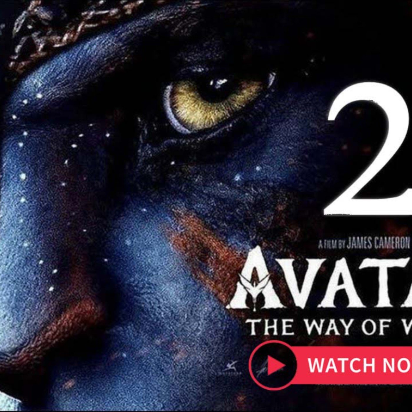 Avatar Movie Poster 1 of 11  IMP Awards