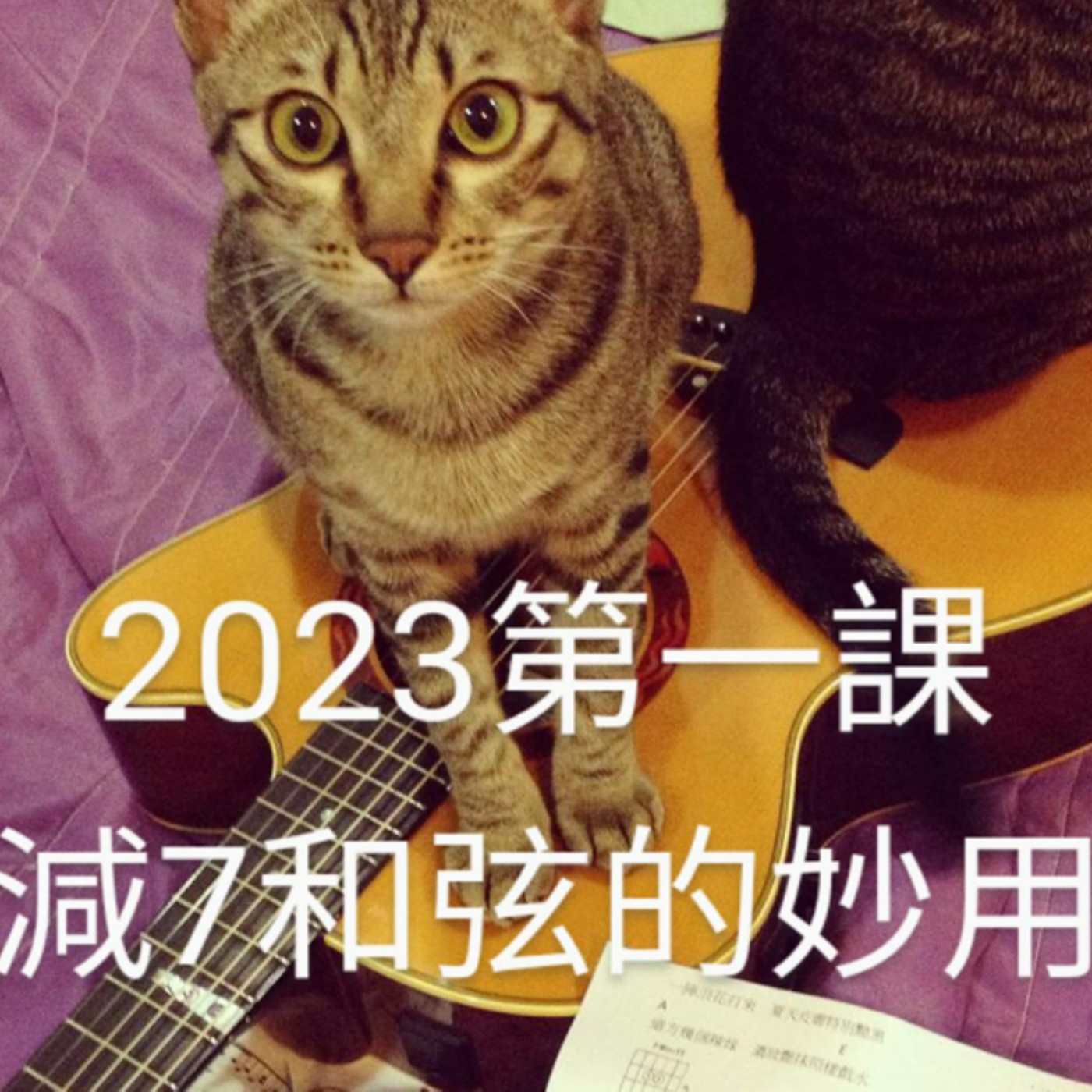 黏tt獨立音樂筆記《第二十九集：減7和弦的妙用》