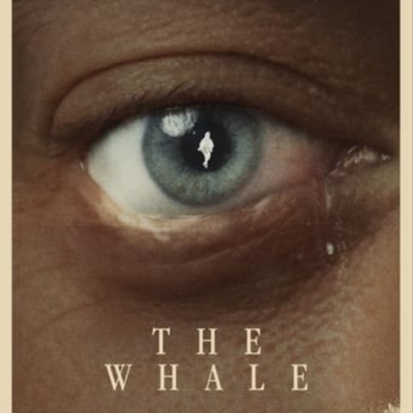 Ver La ballena (The Whale) online gratis en español latino - Gnula |  Podcast on SoundOn