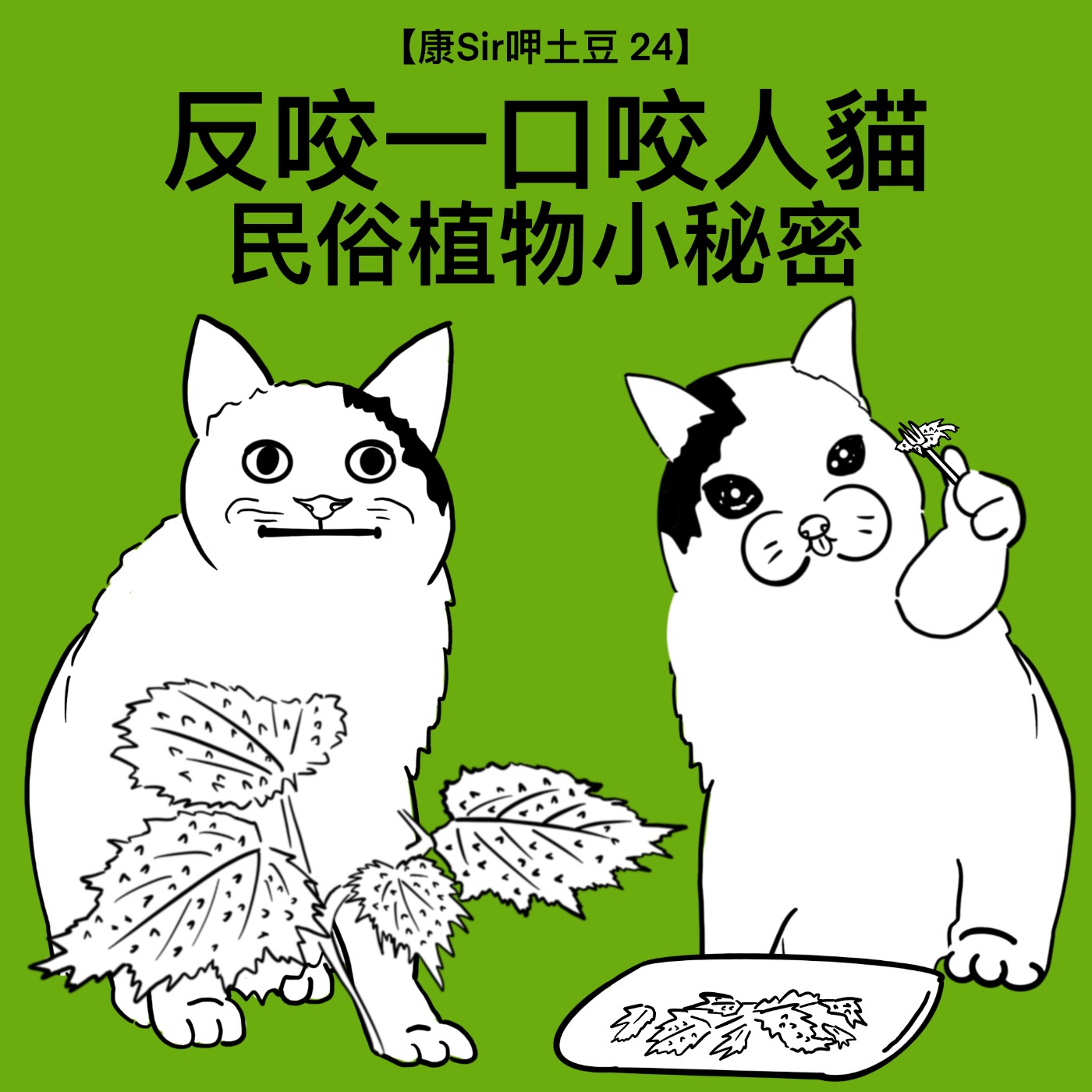 【康Sir呷土豆 24】反咬一口咬人貓-民俗植物小秘密 episode artwork