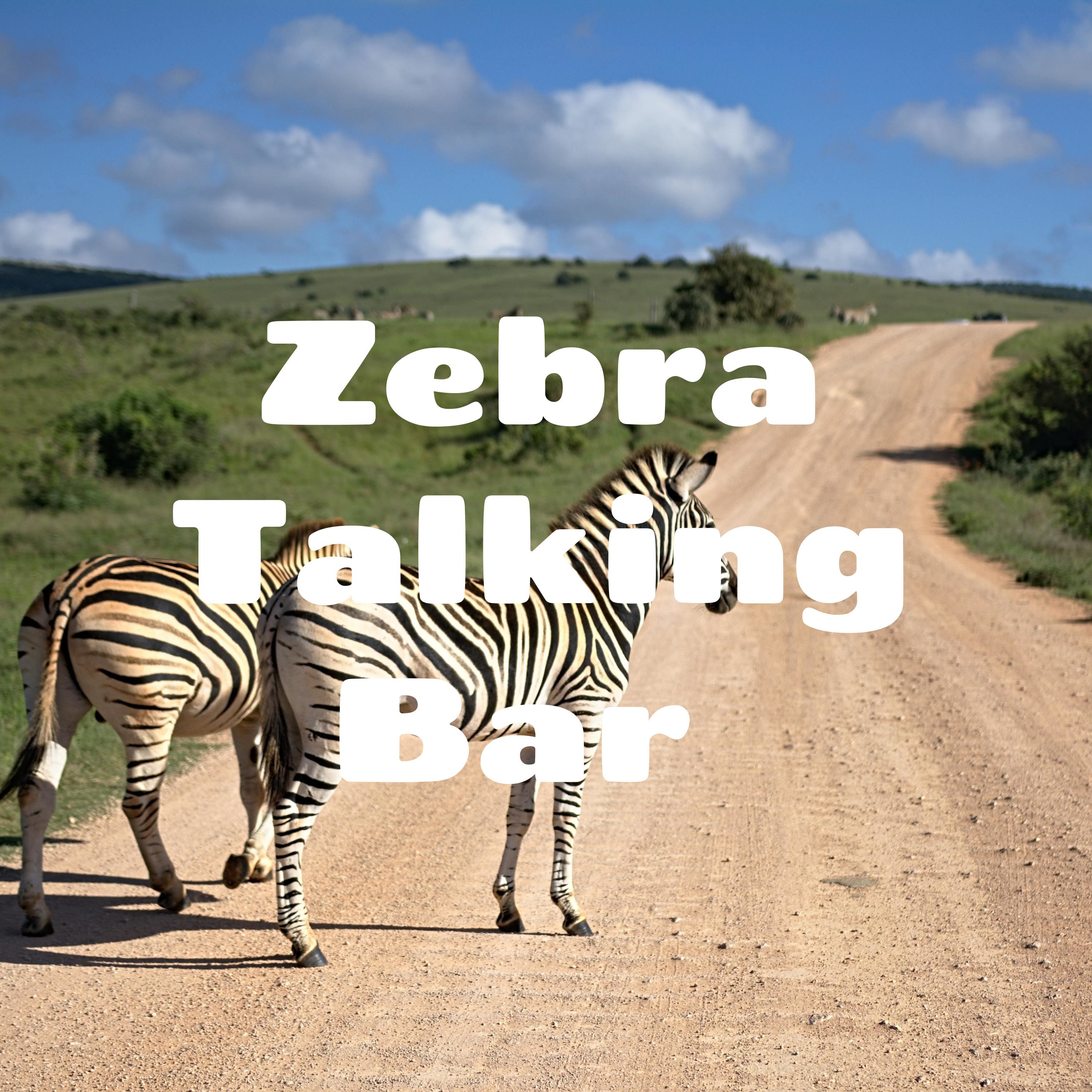姐妹歐北共 Zebra Talking Bar