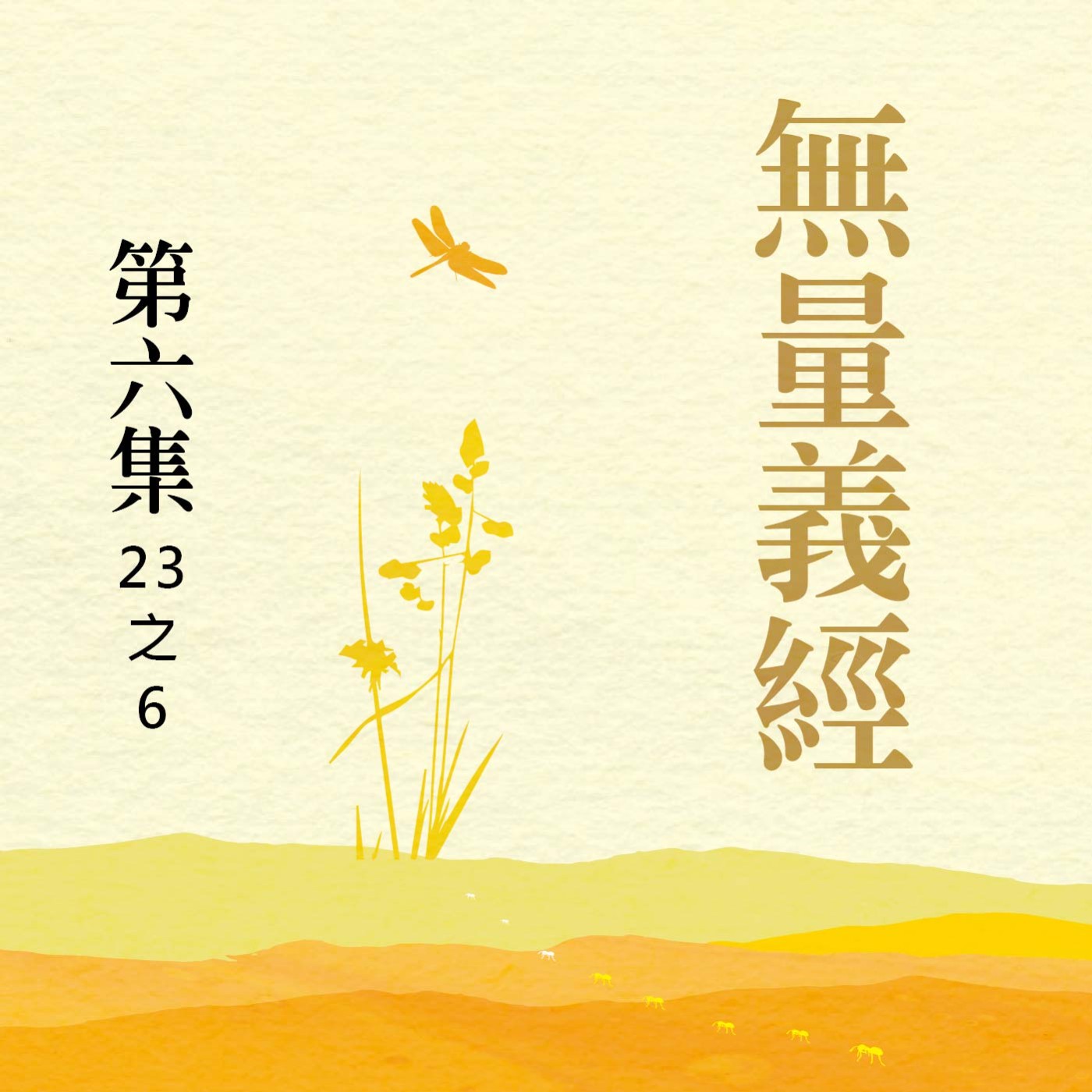 《無量義經》第六集 (23之6)