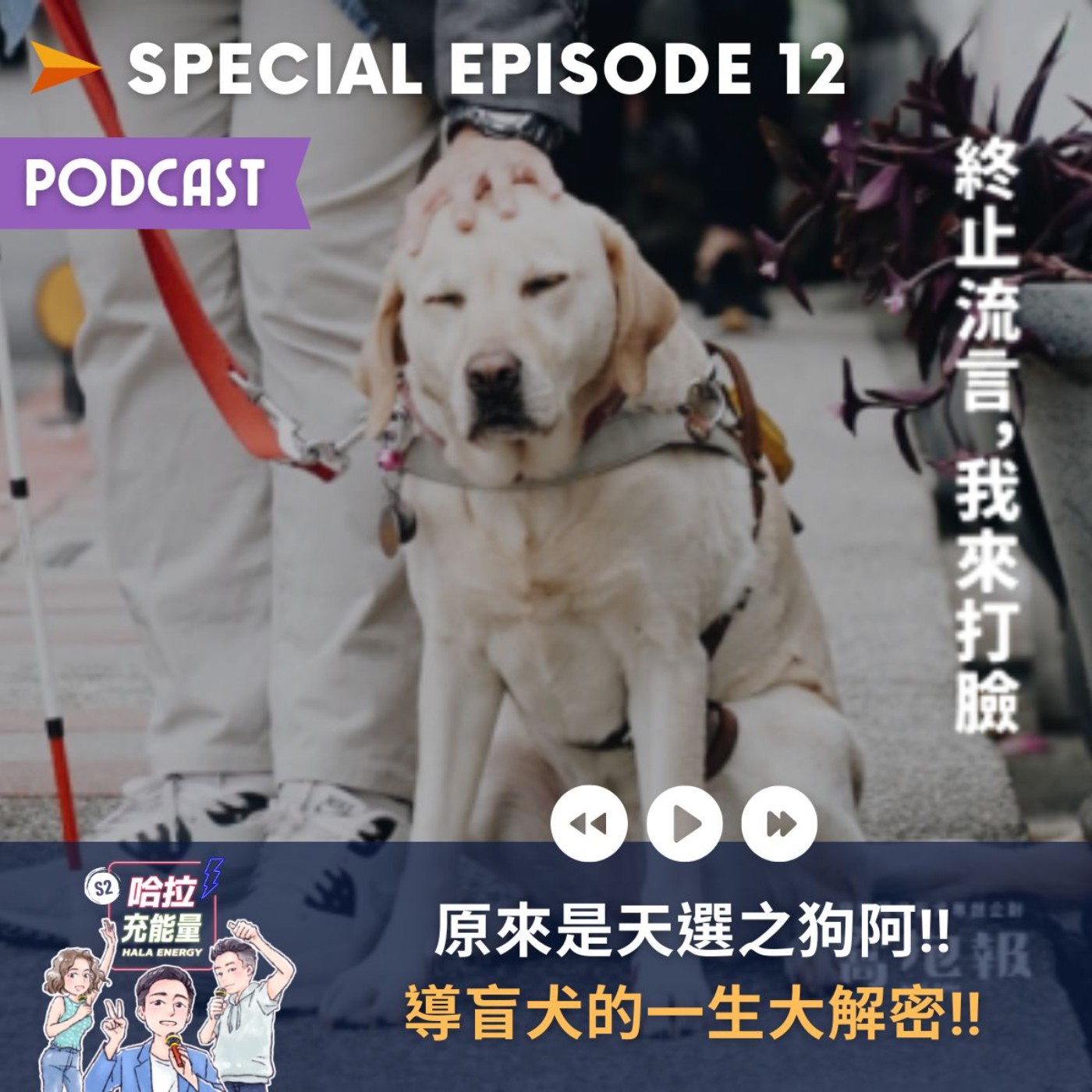 SP12-原來是天選之狗阿!!導盲犬的一生大解密!! episode artwork