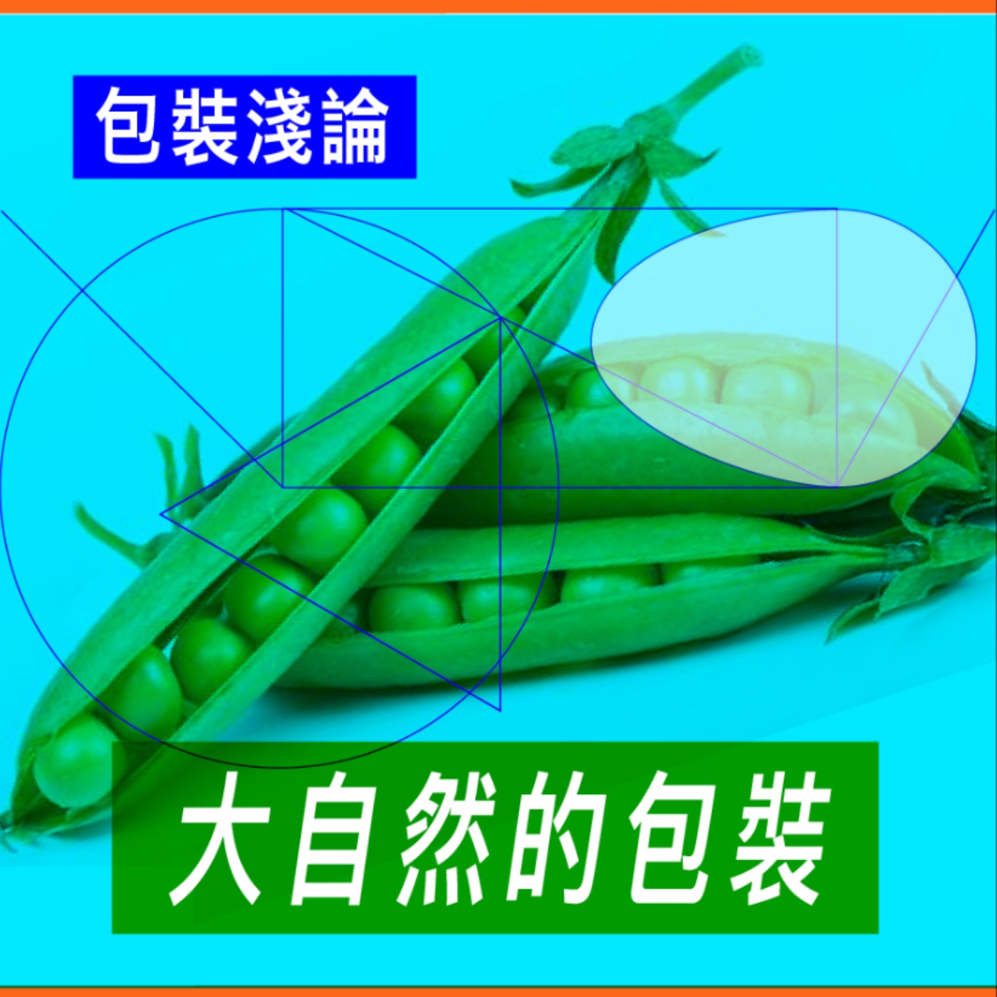 大自然的包裝【專訪與特輯】No.57 episode artwork