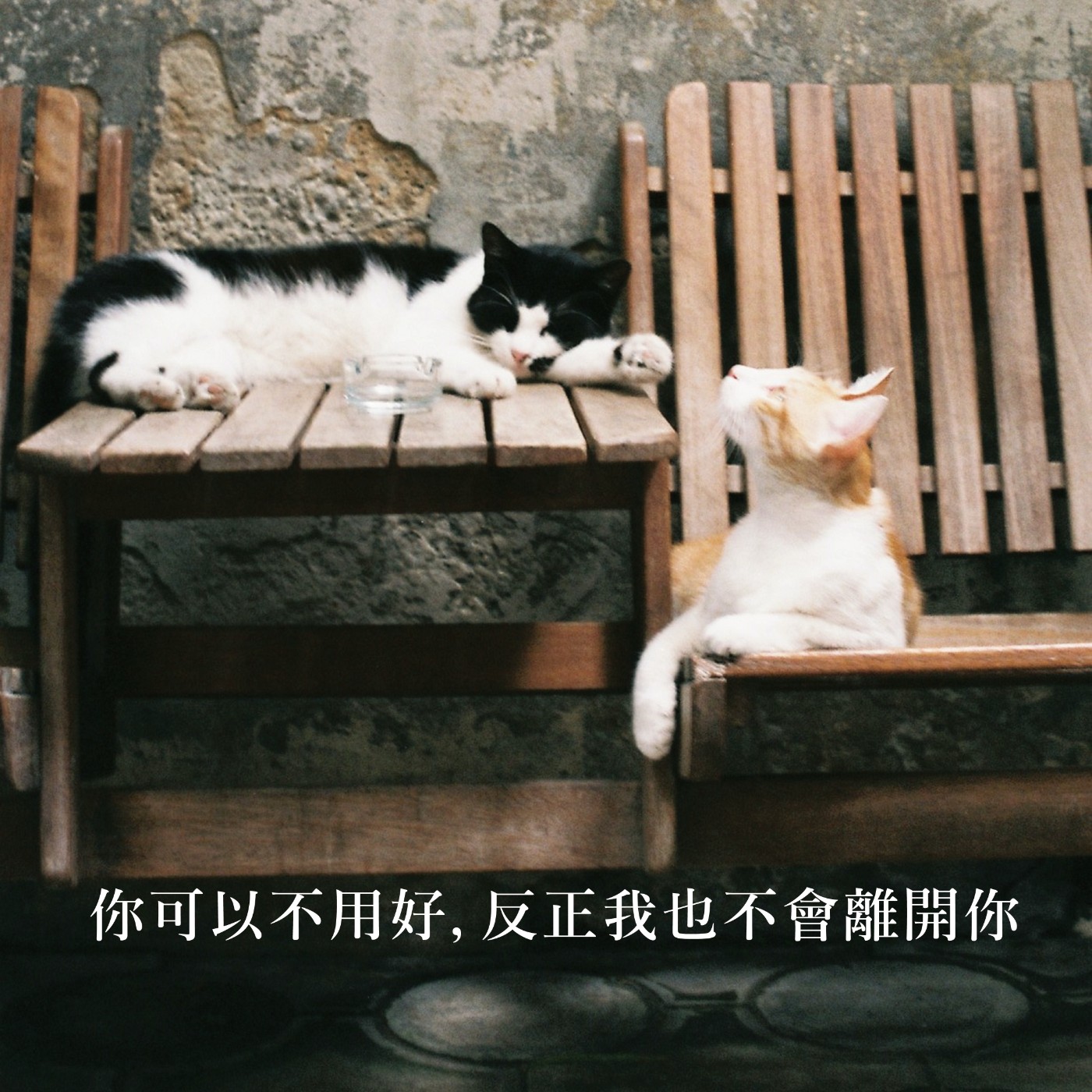 【你該聽的事】你可以不用好，反正我也不會離開你 episode artwork
