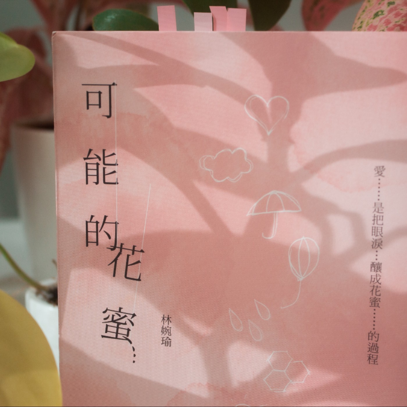 ep1｜愛是把眼淚釀成花蜜的過程   林婉瑜《可能的花蜜》