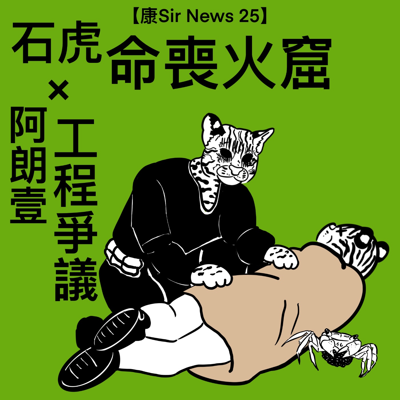 【康Sir News 25】石虎命喪火窟 × 阿朗壹工程爭議 episode artwork