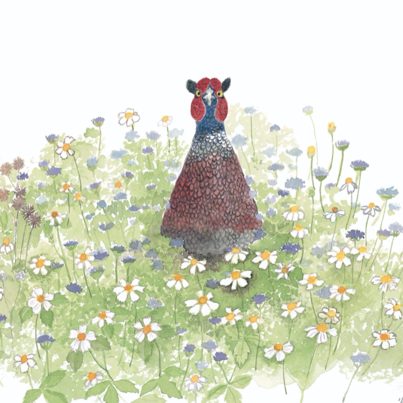 EP87  植物諮商室 / 野鳥散步 episode artwork