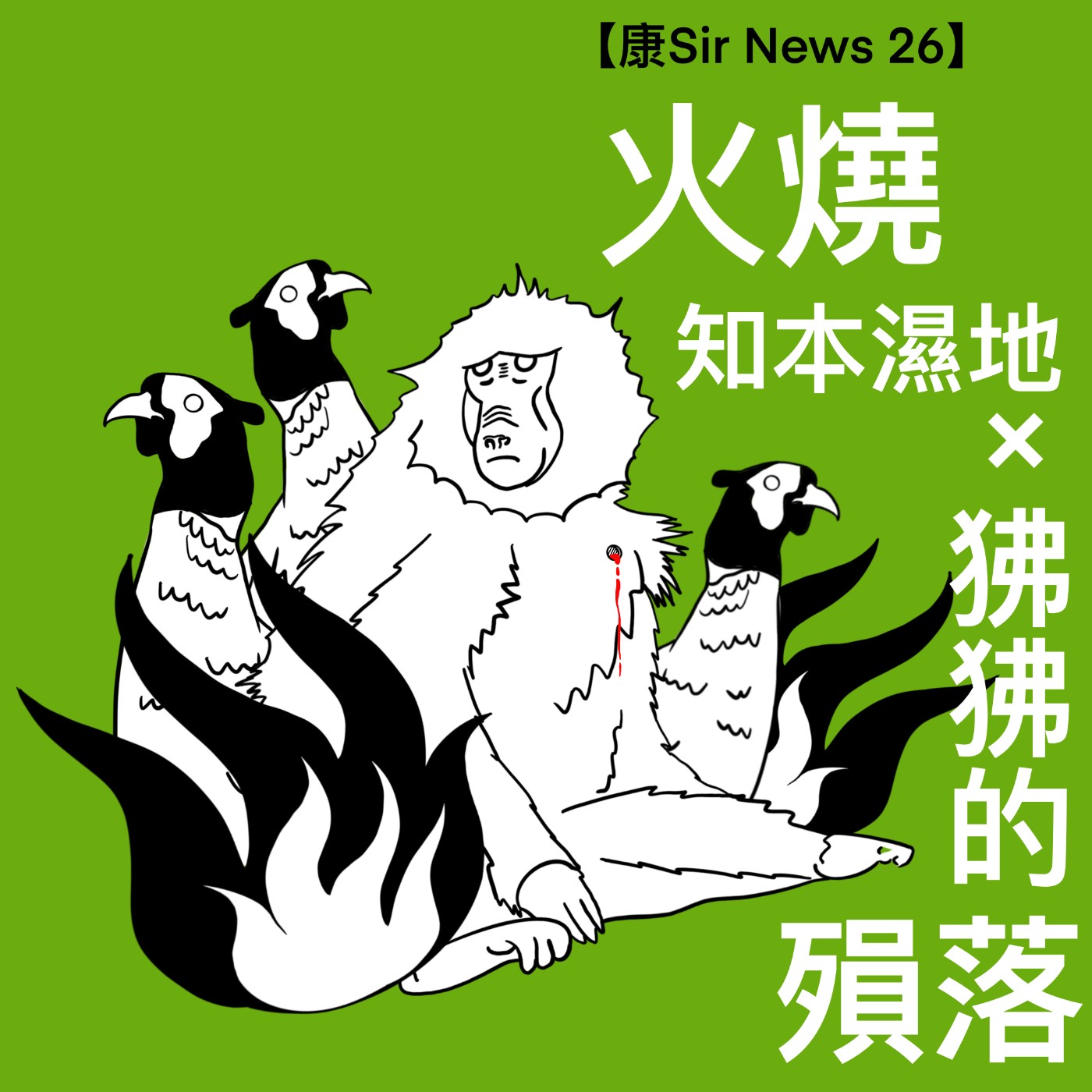 【康Sir News 26】火燒知本溼地 × 狒狒的殞落 episode artwork