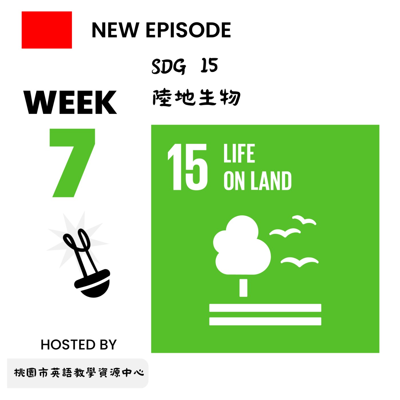 桃園市外師任意門E-door To The World