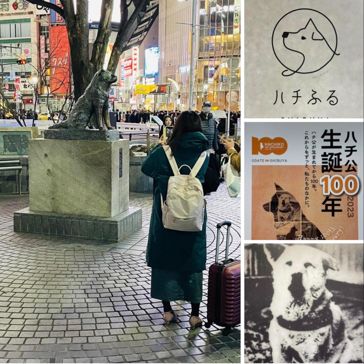 EP124│忠犬八公 episode artwork