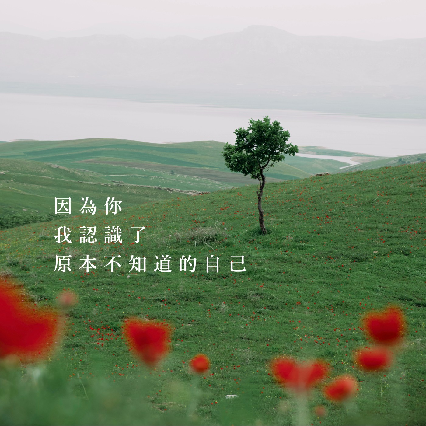 【愛情故事】因為你，我認識了原本不知道的自己 episode artwork