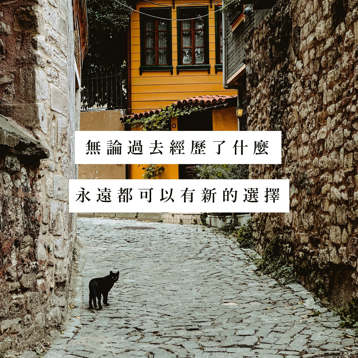 【肥牡蠣選書】我的感覺，你懂嗎？ episode artwork