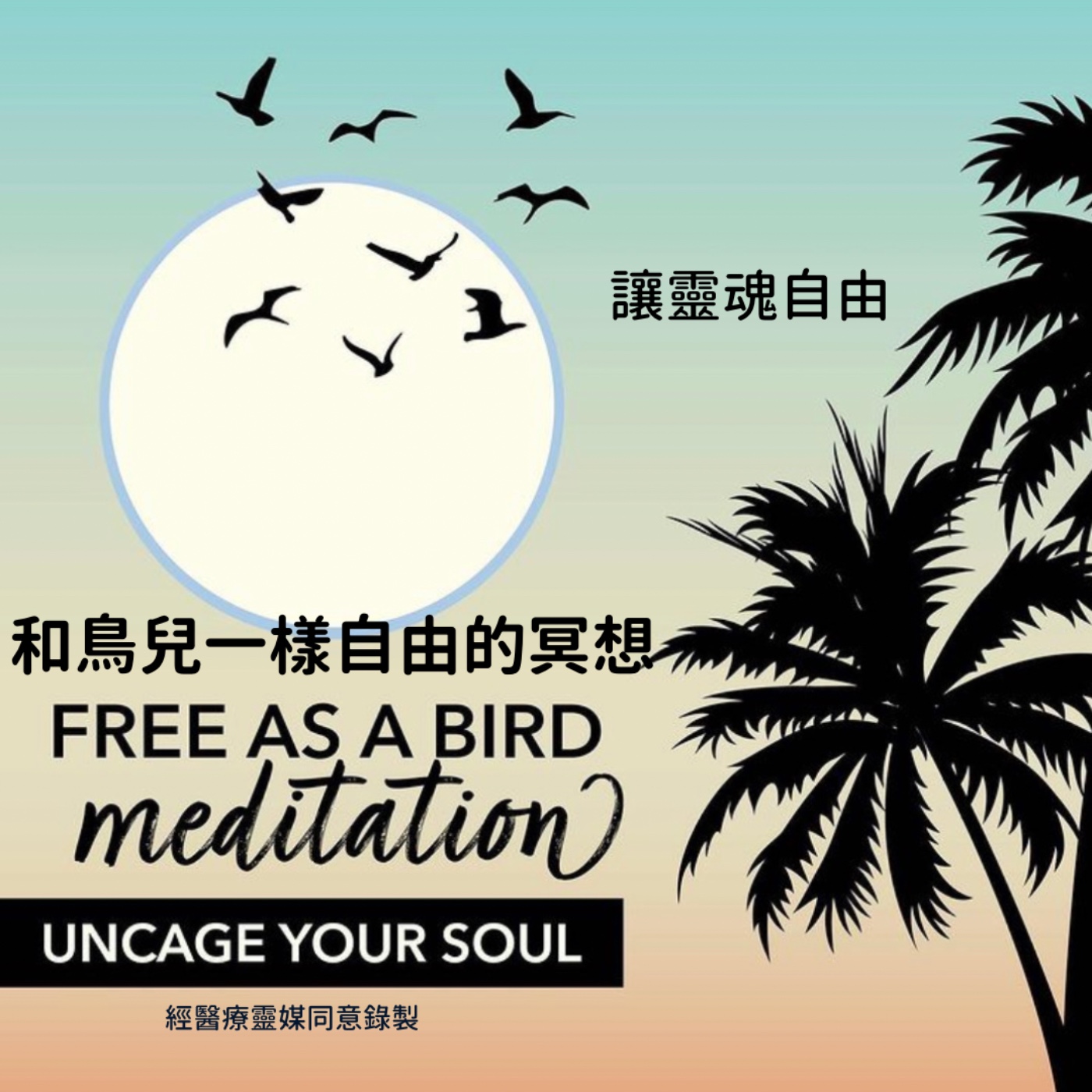 醫療靈媒和鳥兒一樣自由的冥想中文版 Medical Medium Free As A Bird Meditation   episode artwork