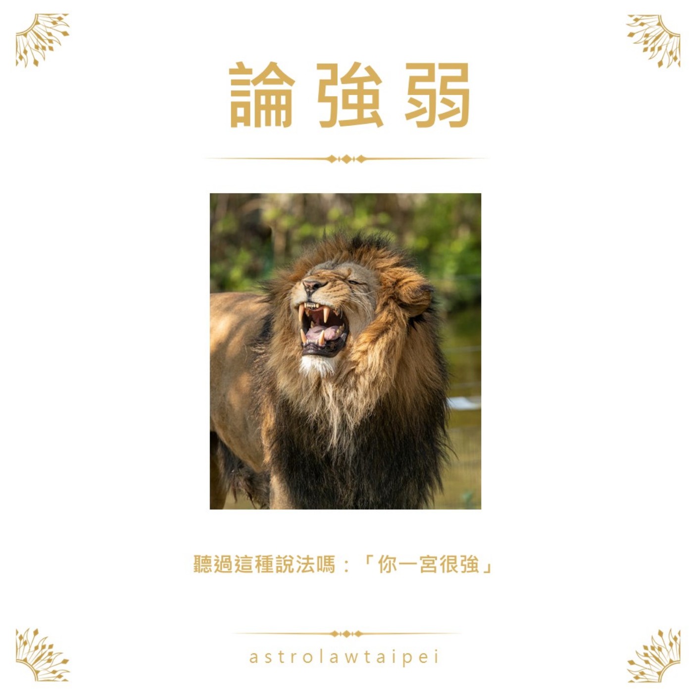 【教學】論強弱,你的某某宮很強ㄟ!你有沒有被這樣說過