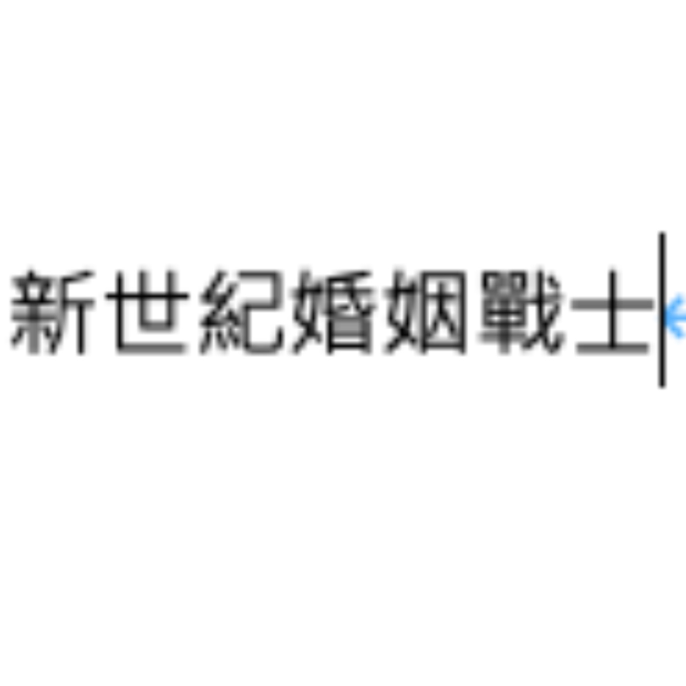 新世紀婚姻戰士