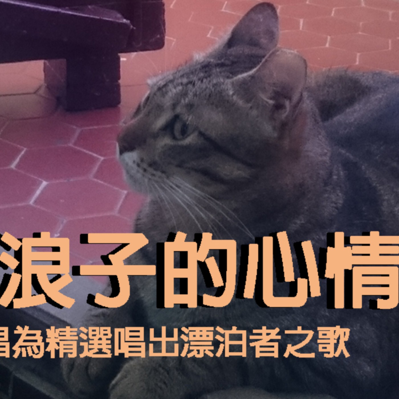 黏tt獨立音樂筆記《第三十五集：聲優主唱唱出北漂者的心情》