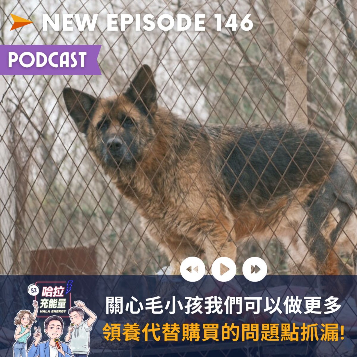 EP146-關心毛小孩我們可以做更多，領養代替購買的問題點抓漏! episode artwork