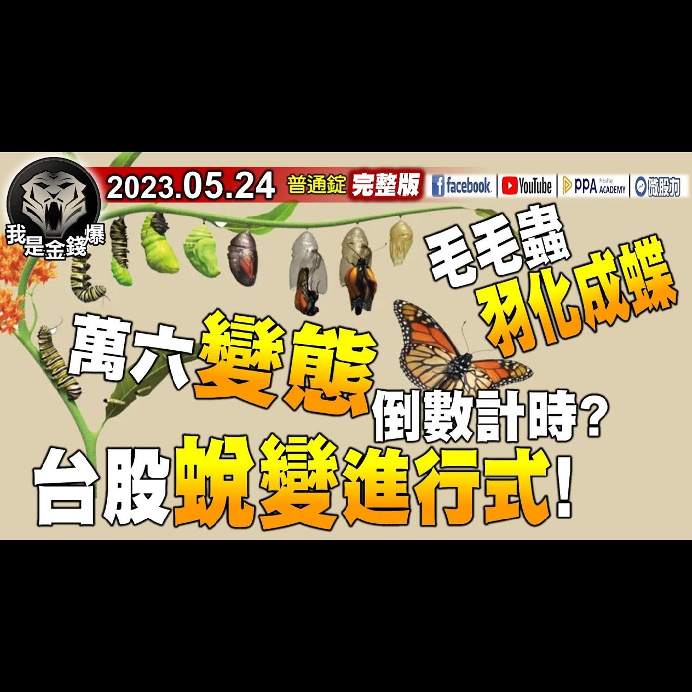 毛毛蟲羽化成蝶？台股蛻變進行式！萬六"變態"倒數計時？《我是金錢爆》普通錠 2023.0524 episode artwork
