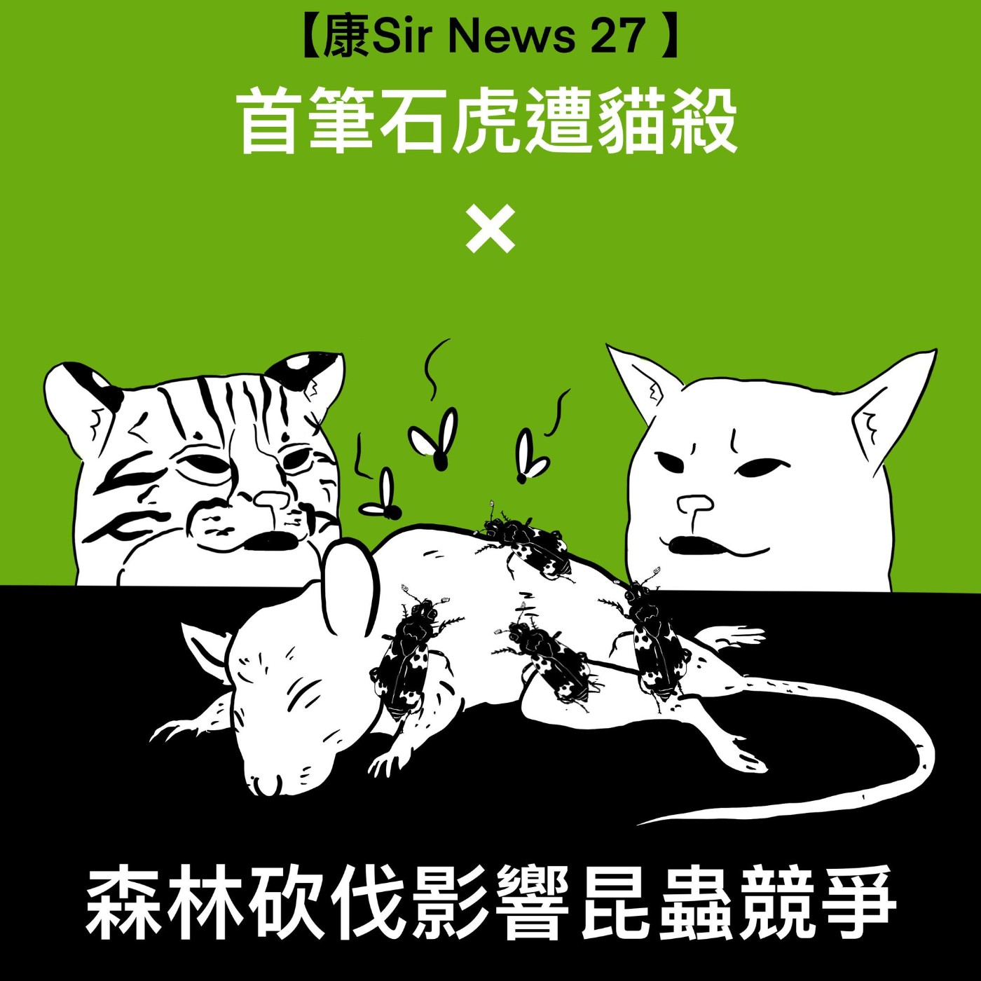 【康Sir News 27】首筆石虎遭貓殺 × 森林砍伐影響昆蟲競爭 episode artwork