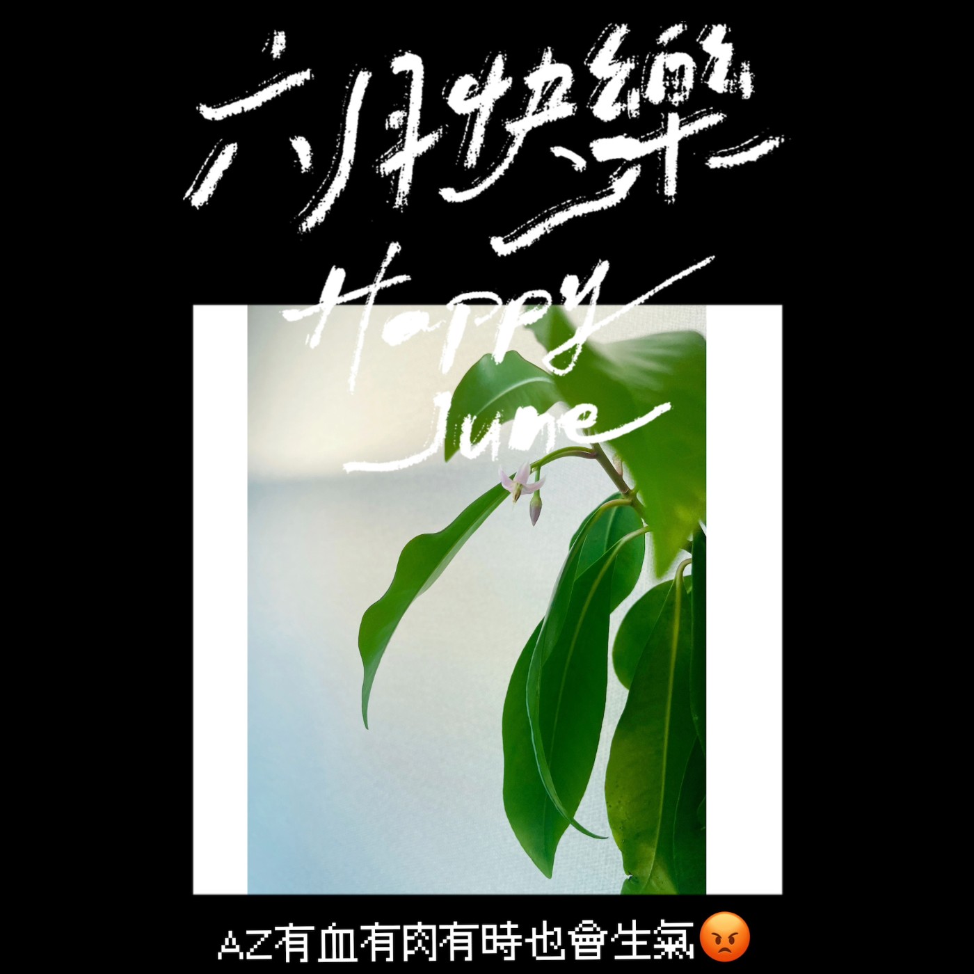 Ep.159 生氣是好的 episode artwork