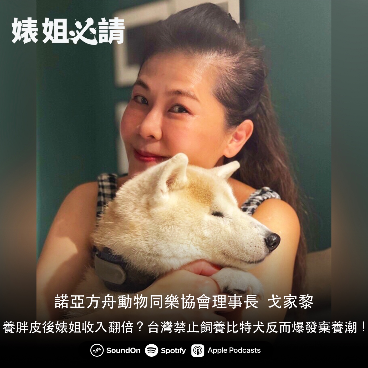 EP182｜養胖皮後婊姐收入翻倍？台灣禁止飼養比特犬反而爆發棄養潮！