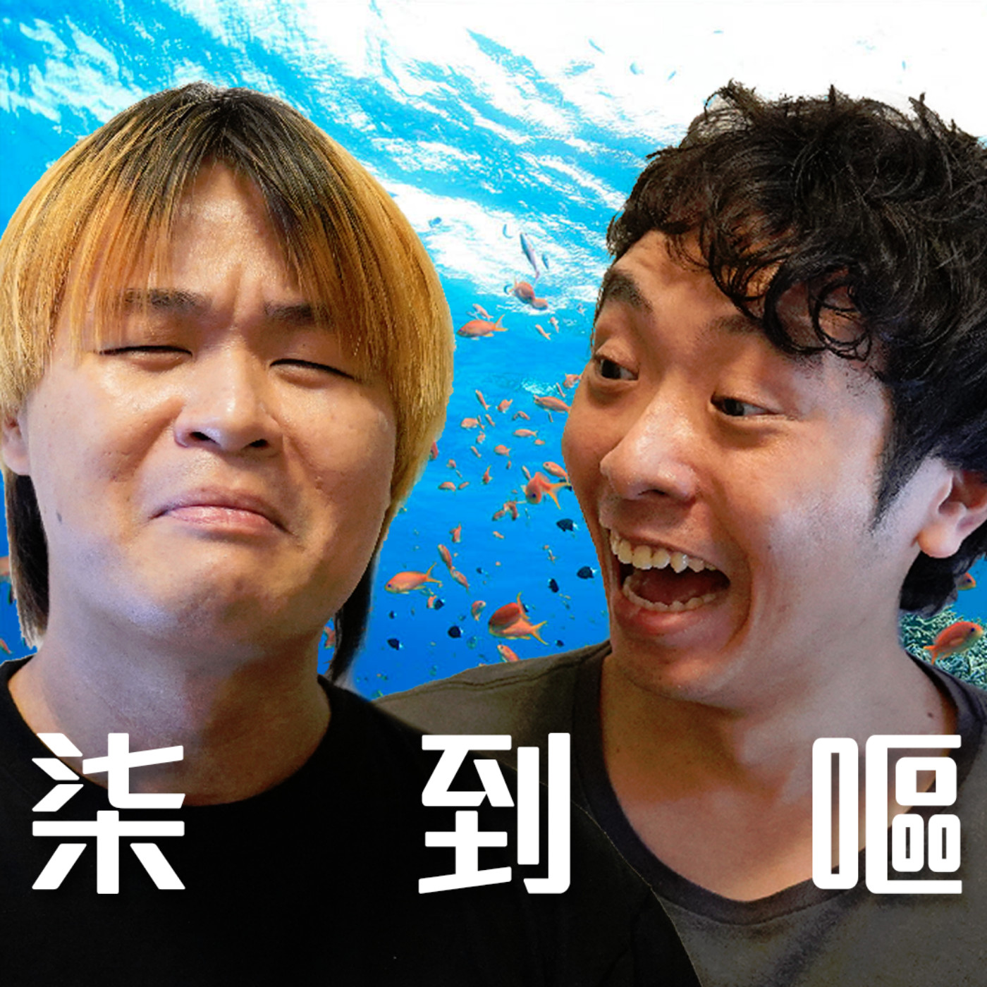 cover of episode #263 ME vs 戶外活動 = 柒到嘔(真係嘔了)