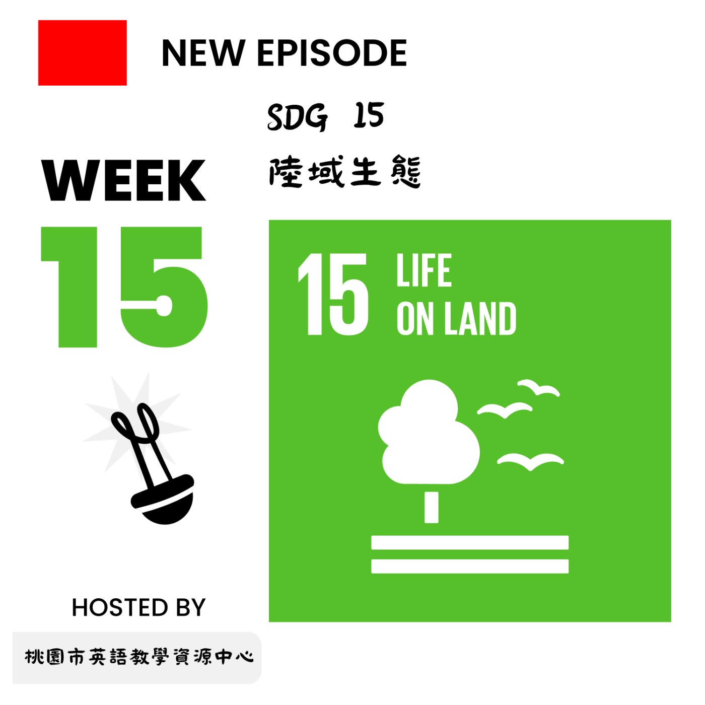 桃園市外師任意門E-door To The World