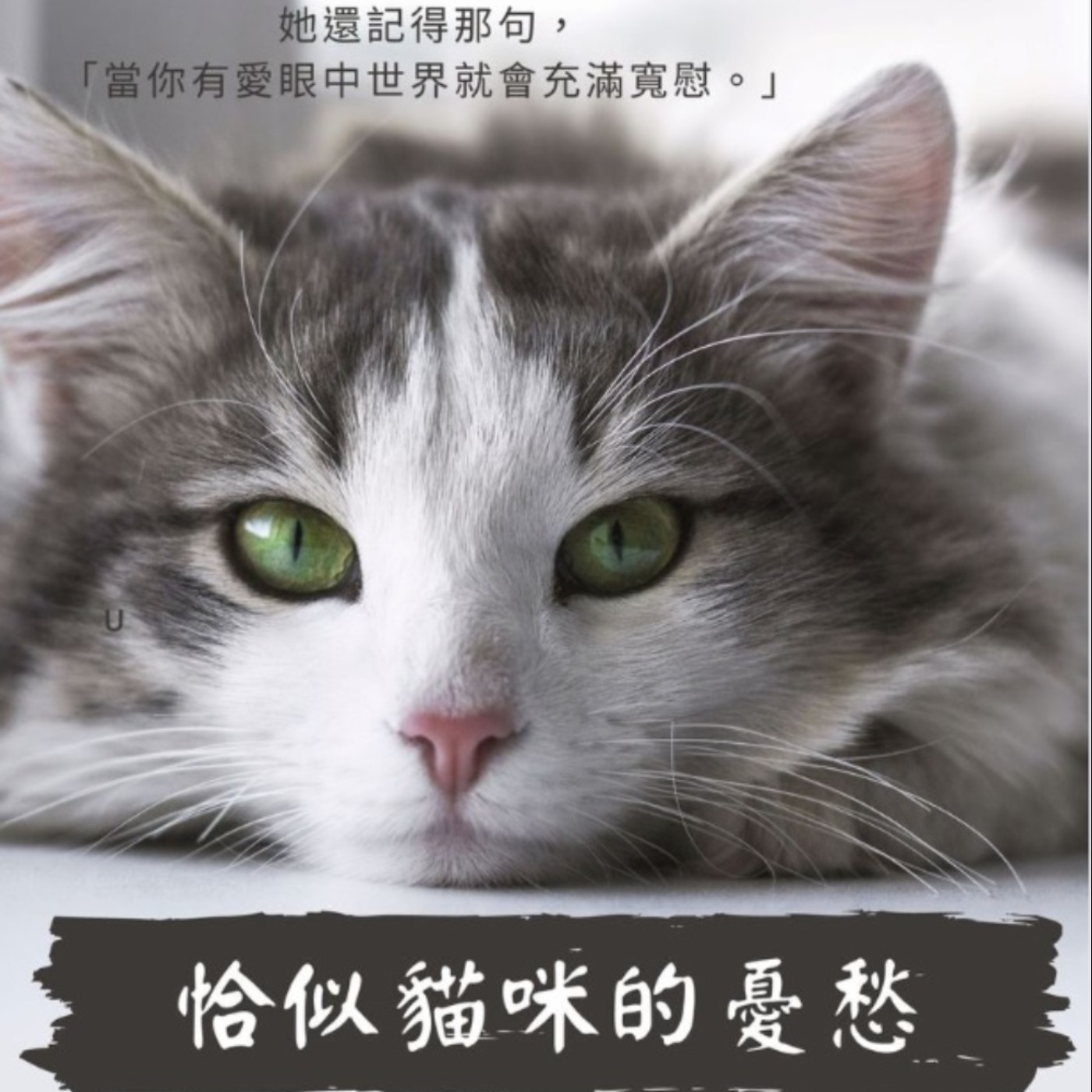 第四季 #17 有聲書 「 第一集 」-《恰似貓咪的憂愁》: 「一位長期受憂鬱所苦的女孩,一位節目即將走入尾聲電台DJ, 沒關係,你並不奇怪,只是像隻貓咪一樣可愛而已——」-《閱讀探戈:書富比鑑賞會》 第四季 #17 有聲書 「 第一集 」-《恰似貓咪的憂愁》: 「一位長期受憂鬱所苦的女孩,一位節目即將走入尾聲電台DJ, 沒關係,你並不奇怪,只是像隻貓咪一樣可愛而已——」-《閱讀探戈:書富比鑑賞會》