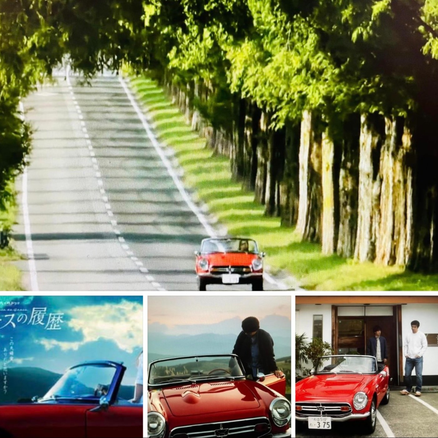 EP134│公路旅行 episode artwork