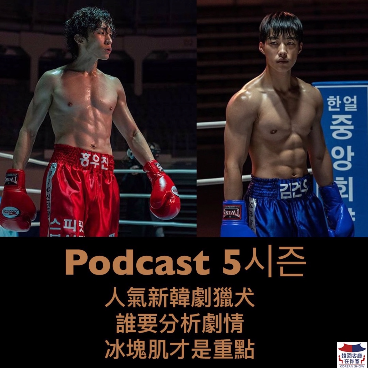 cover of episode 35회 追劇《人氣新韓劇獵犬 誰要分析劇情 冰塊肌才是重點》