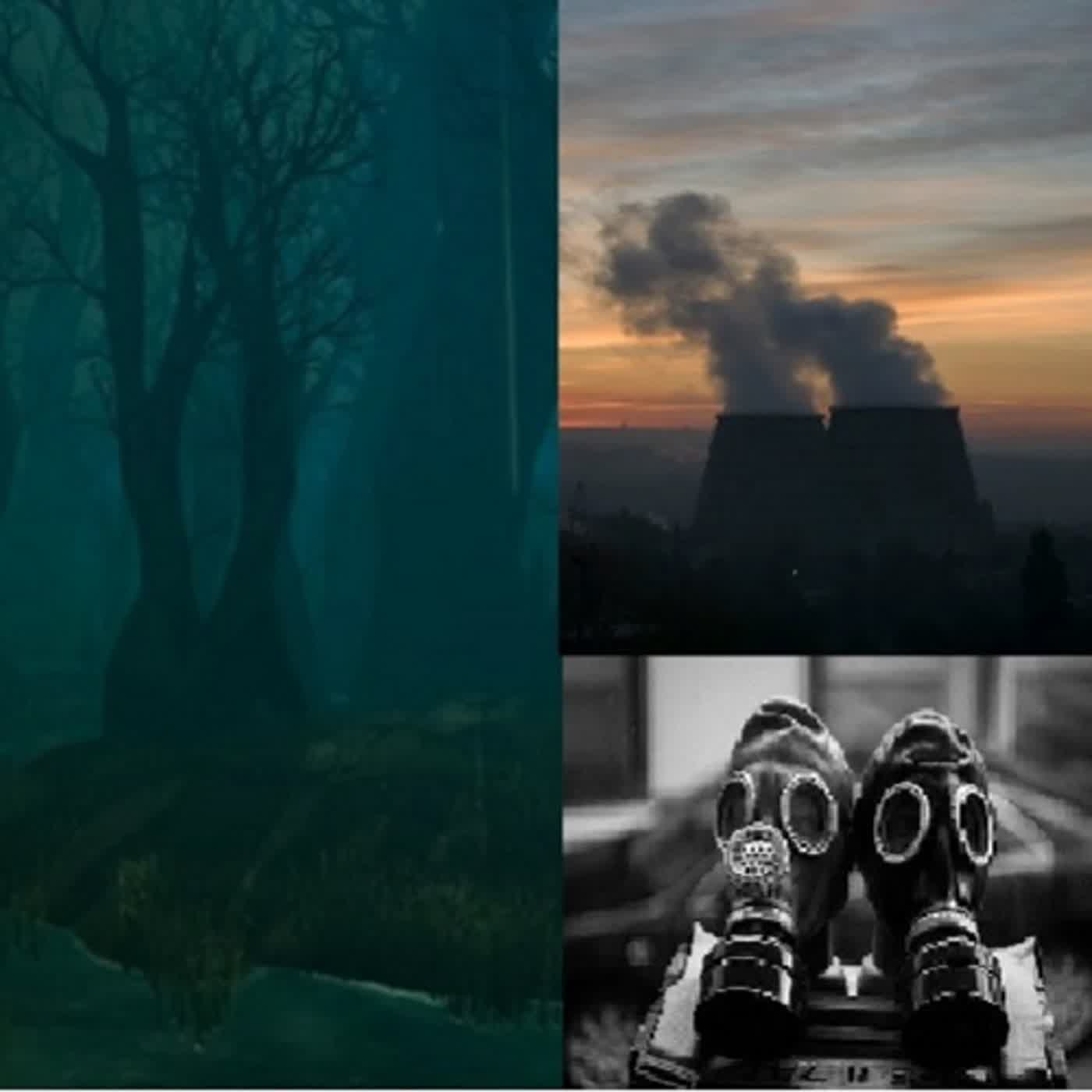 EP11 神明指示可以來找麒老師之Part2,擲筊同意才來觀元辰宮! EP11 神明指示可以來找麒老師之Part2,擲筊同意才來觀元辰宮!