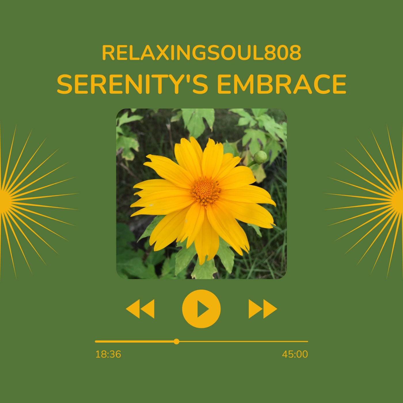 RelaxingSoul808