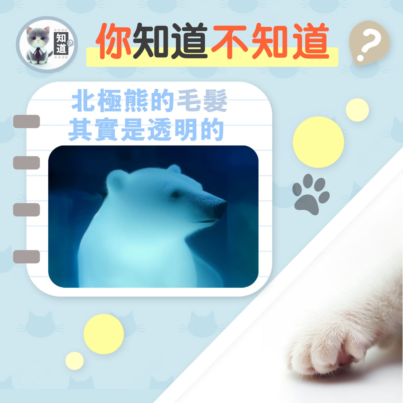 冰雪世界的隱形術▐  知道喵K.CatMeow - Podcast 電台 episode artwork