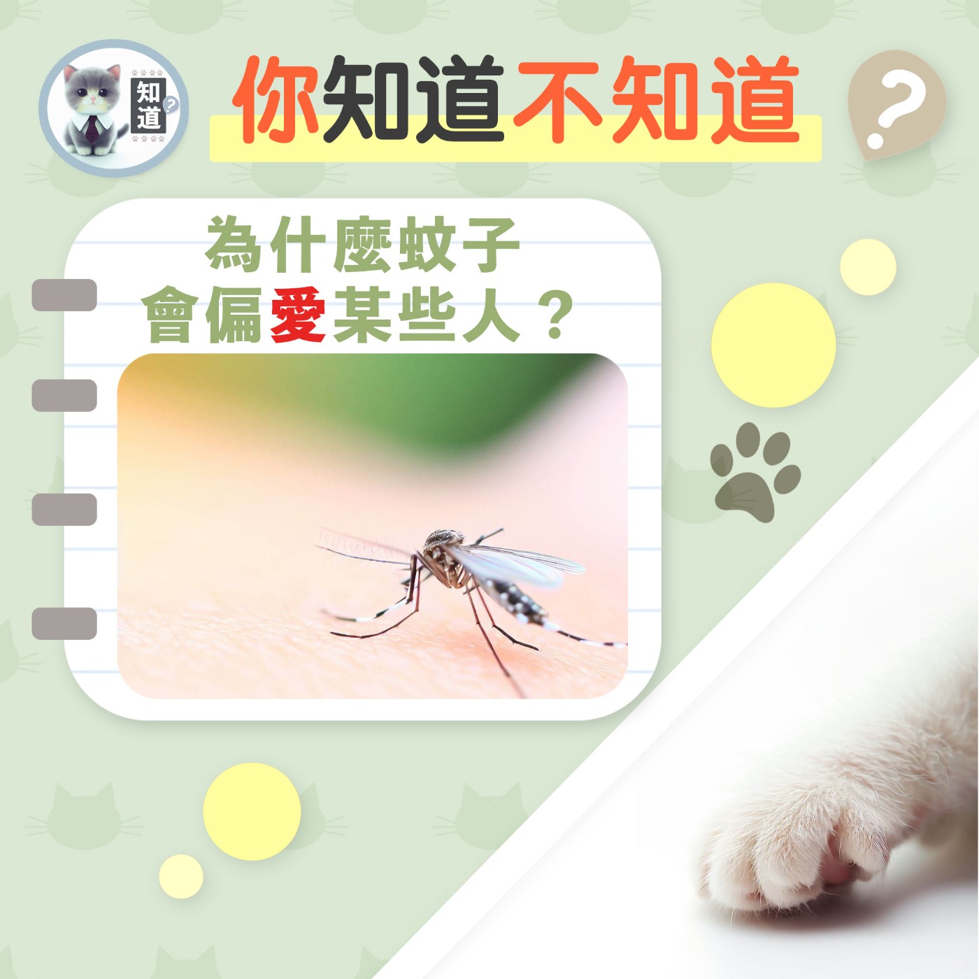 知道你很受女性歡迎嗎？▐  知道喵K.CatMeow - Podcast 電台