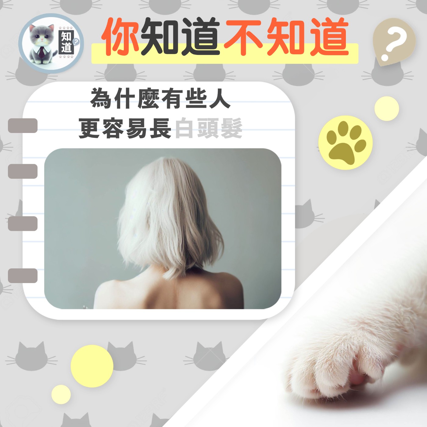 為什麼有些人更容易長白頭髮？▐  知道喵K.CatMeow - Podcast 電台