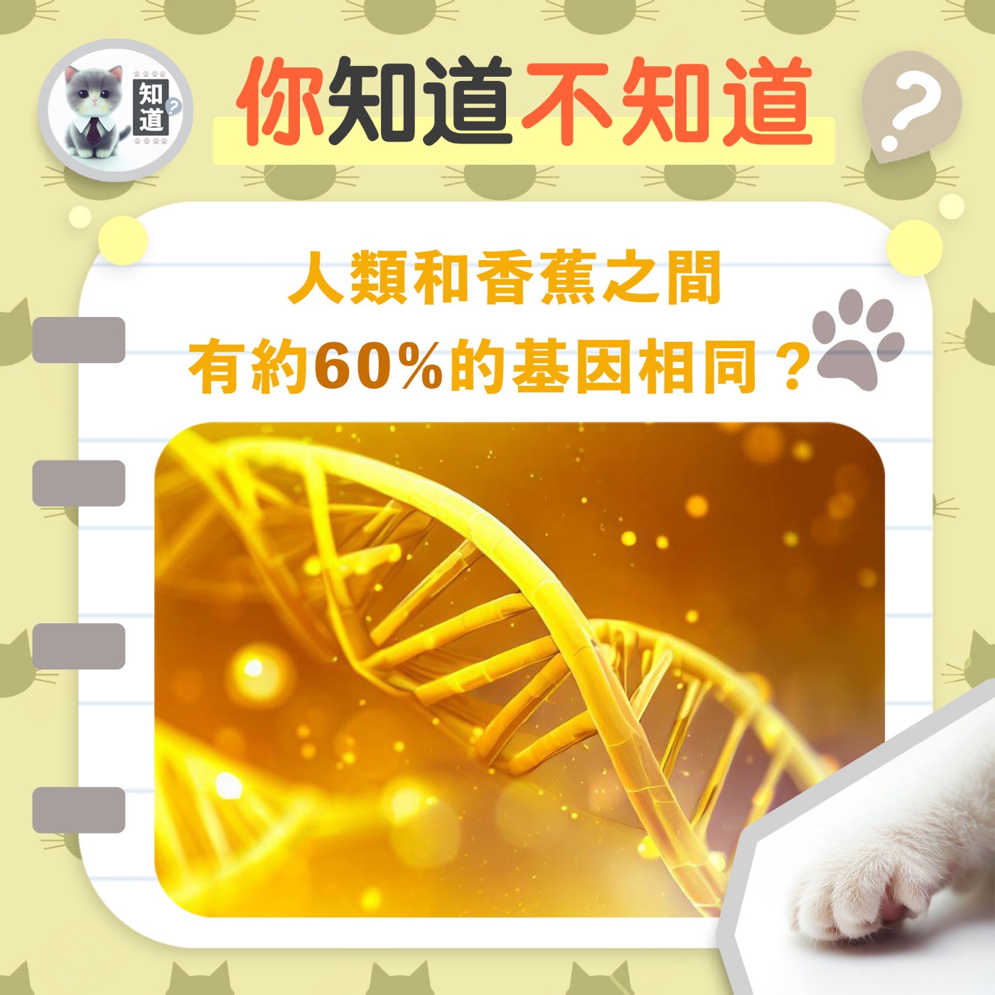 你和香蕉之間有約60%的基因相同 ？▐  知道喵K.CatMeow - Podcast 電台 episode artwork