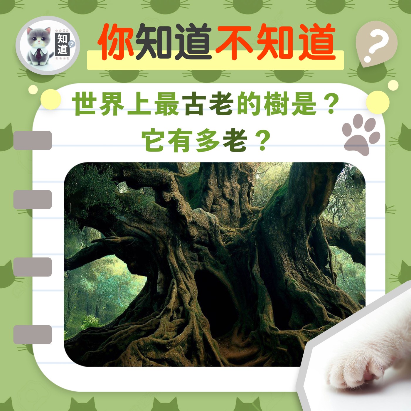 世界上最古老的樹是哪一種 ？▐ 知道喵K.CatMeow - Podcast 電台 episode artwork