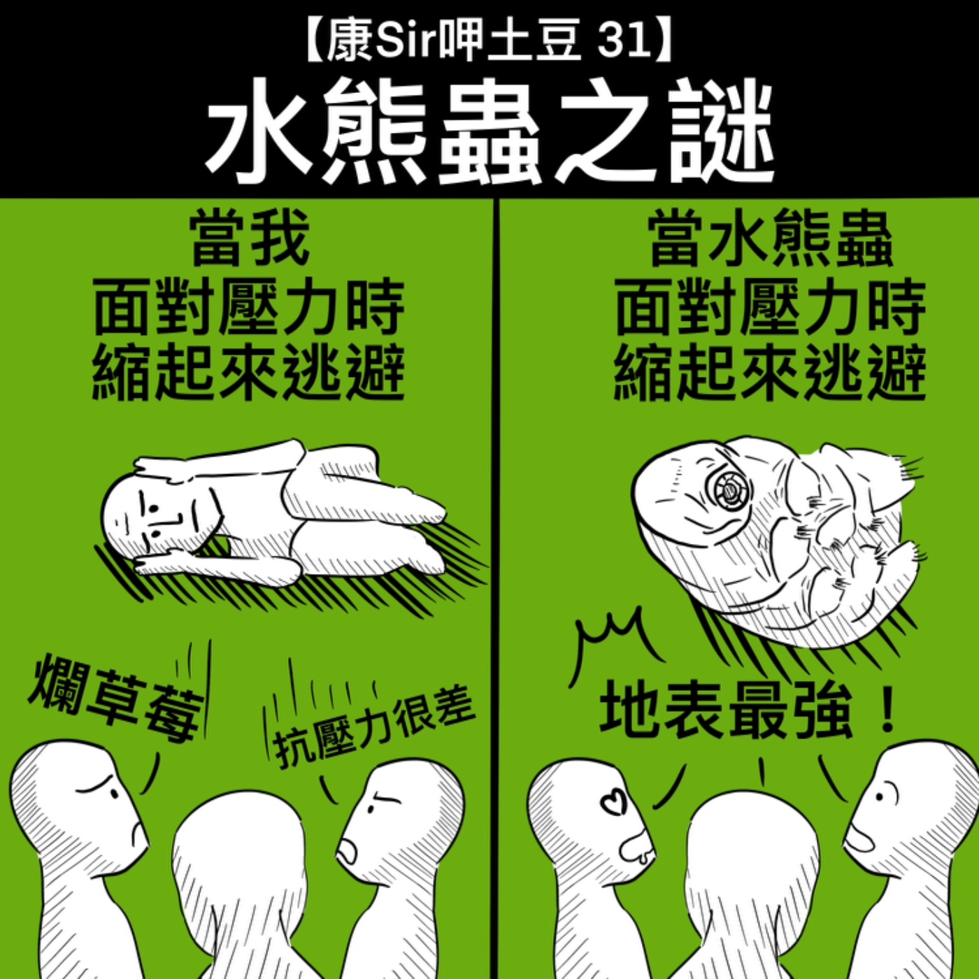【康Sir呷土豆 31】水熊蟲之謎  episode artwork