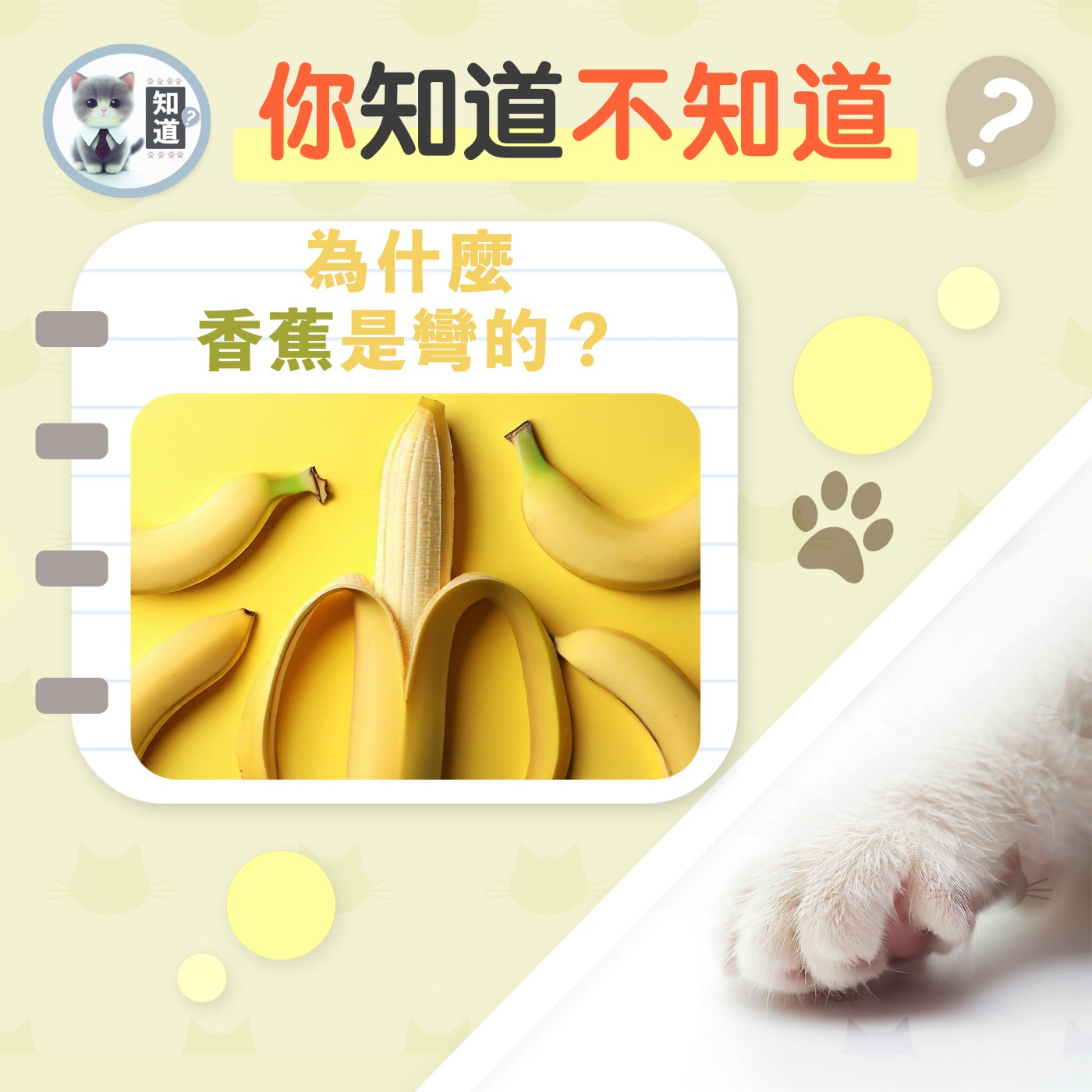 為什麼香蕉是彎的？▐  知道喵K.CatMeow - Podcast 電台 episode artwork
