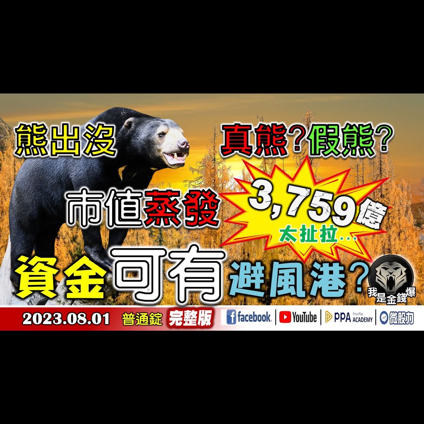 法人也有踩踏行情 資金可有避風港?AI的下一站是...《我是金錢爆》普通錠 2023.0801 #曾煥文 #阿斯匹靈 #杜金龍 episode artwork