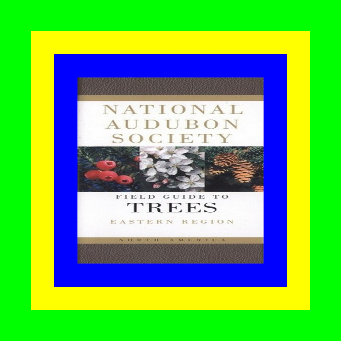 ( ReaD ) National Audubon Society Field Guide to North American Trees Eastern Region EBOOK pdf