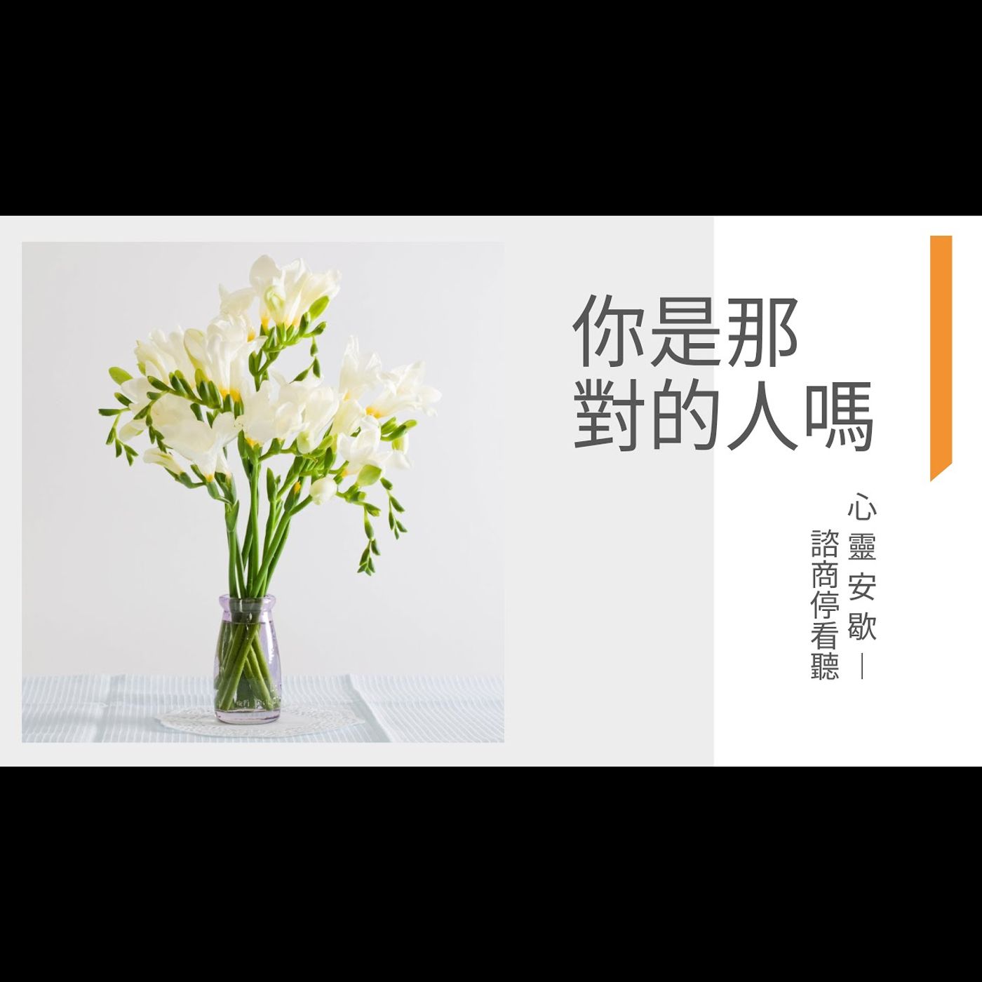 《心靈安歇》諮商停看聽 EP12 你是那對的人嗎