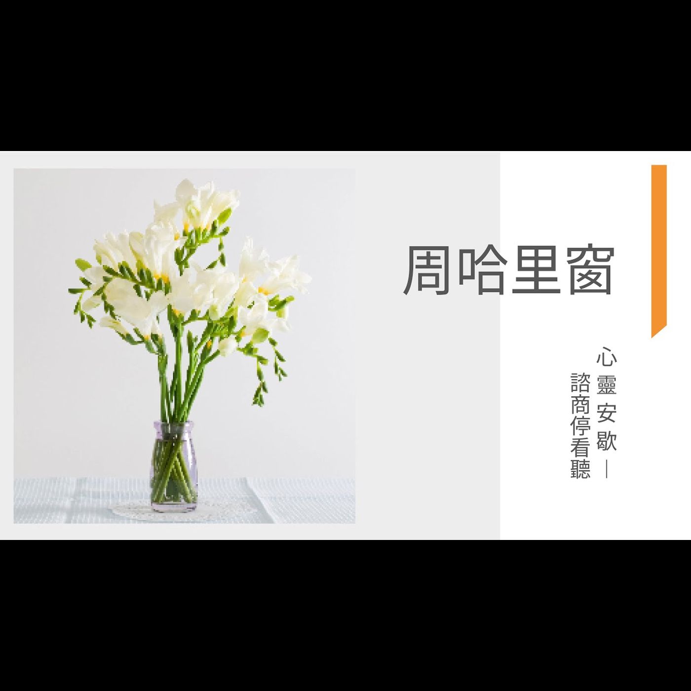 《心靈安歇》諮商停看聽 EP8 周哈里窗