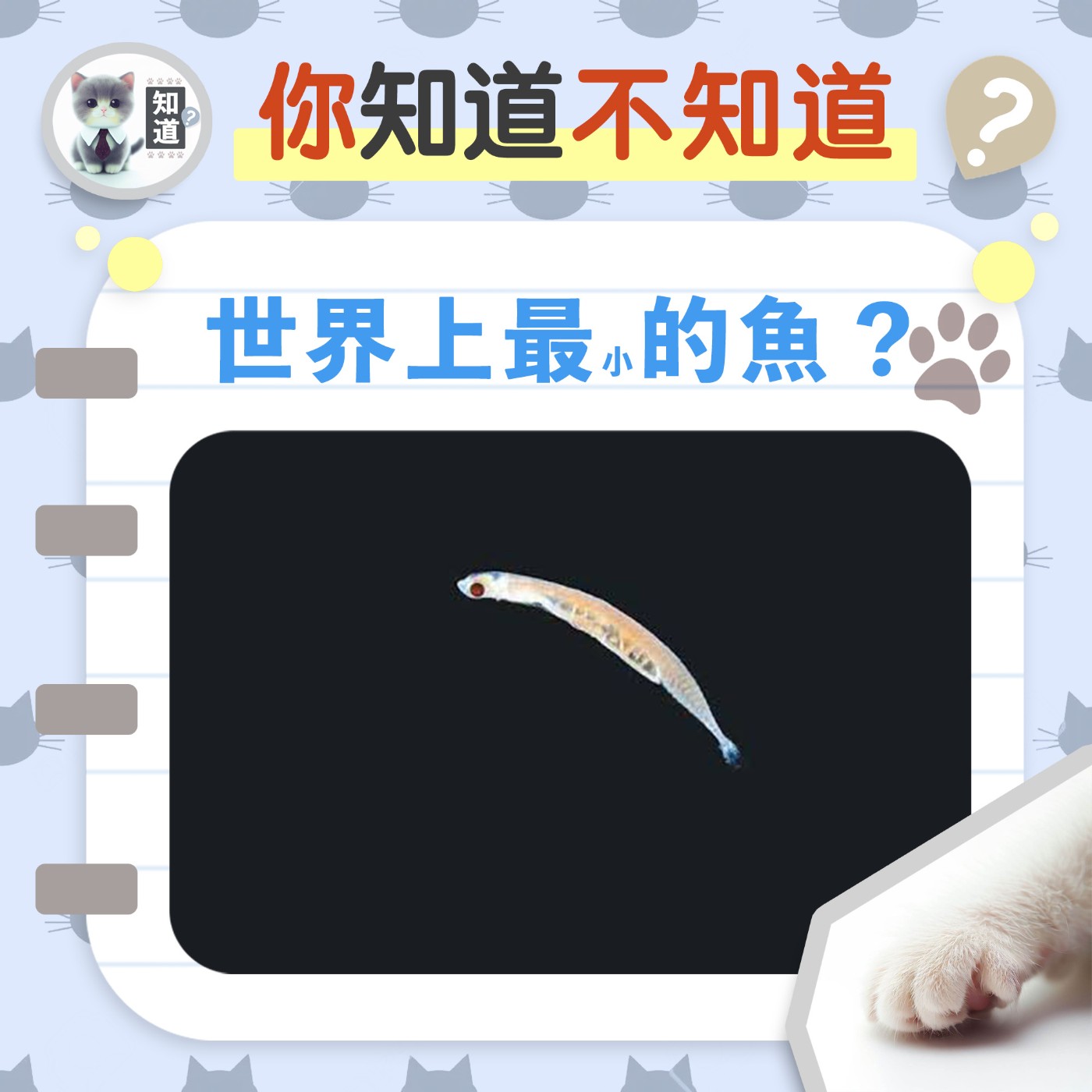世界上最小的魚 ？▐  知道喵K.CatMeow - Podcast 電台 episode artwork