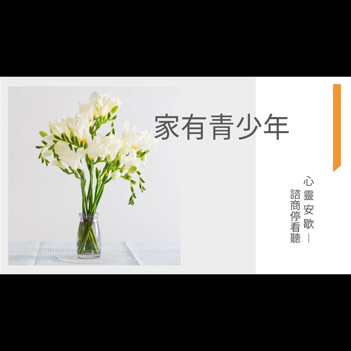 《心靈安歇》諮商停看聽EP17 家有青少年