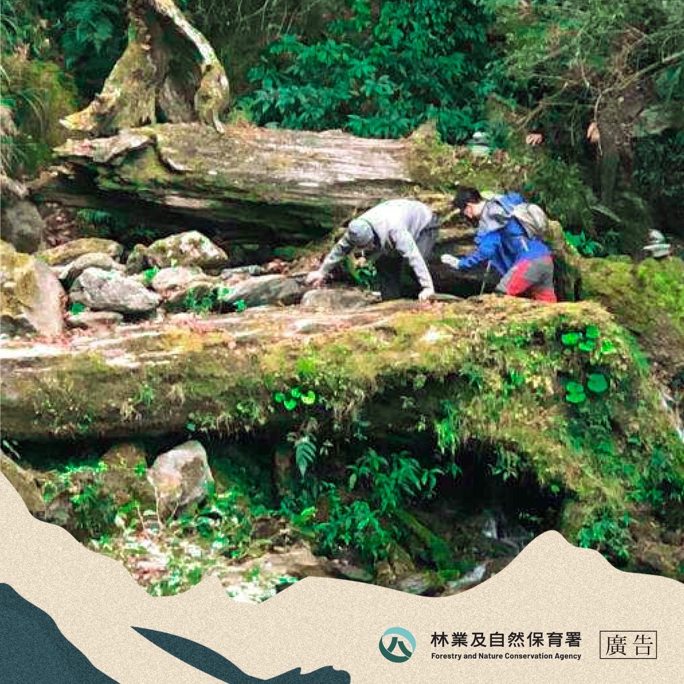 S1EP03｜爬山也會觸法？入山前，那些你不可不知的法律知識 ft. 律師洪振豪 episode artwork