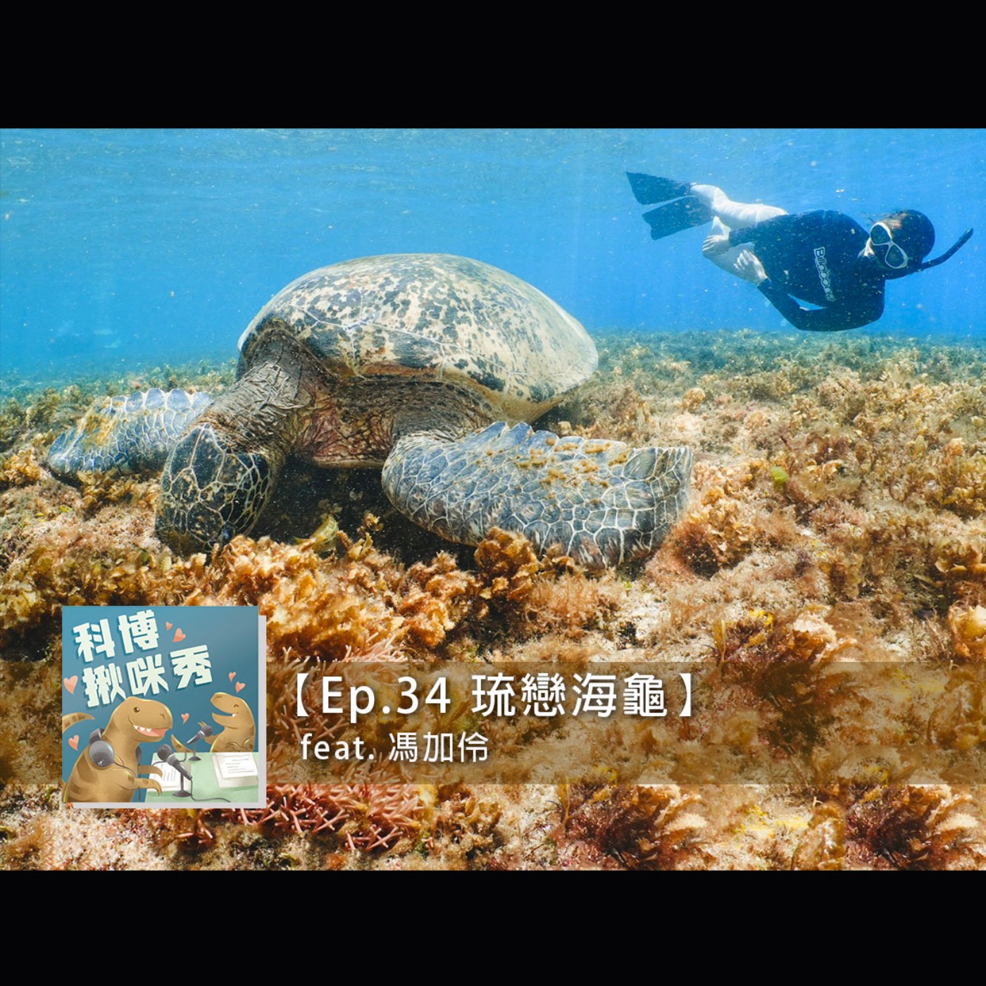 EP.34 琉戀海龜 feat. 馮加伶 aka 海龜姊姊