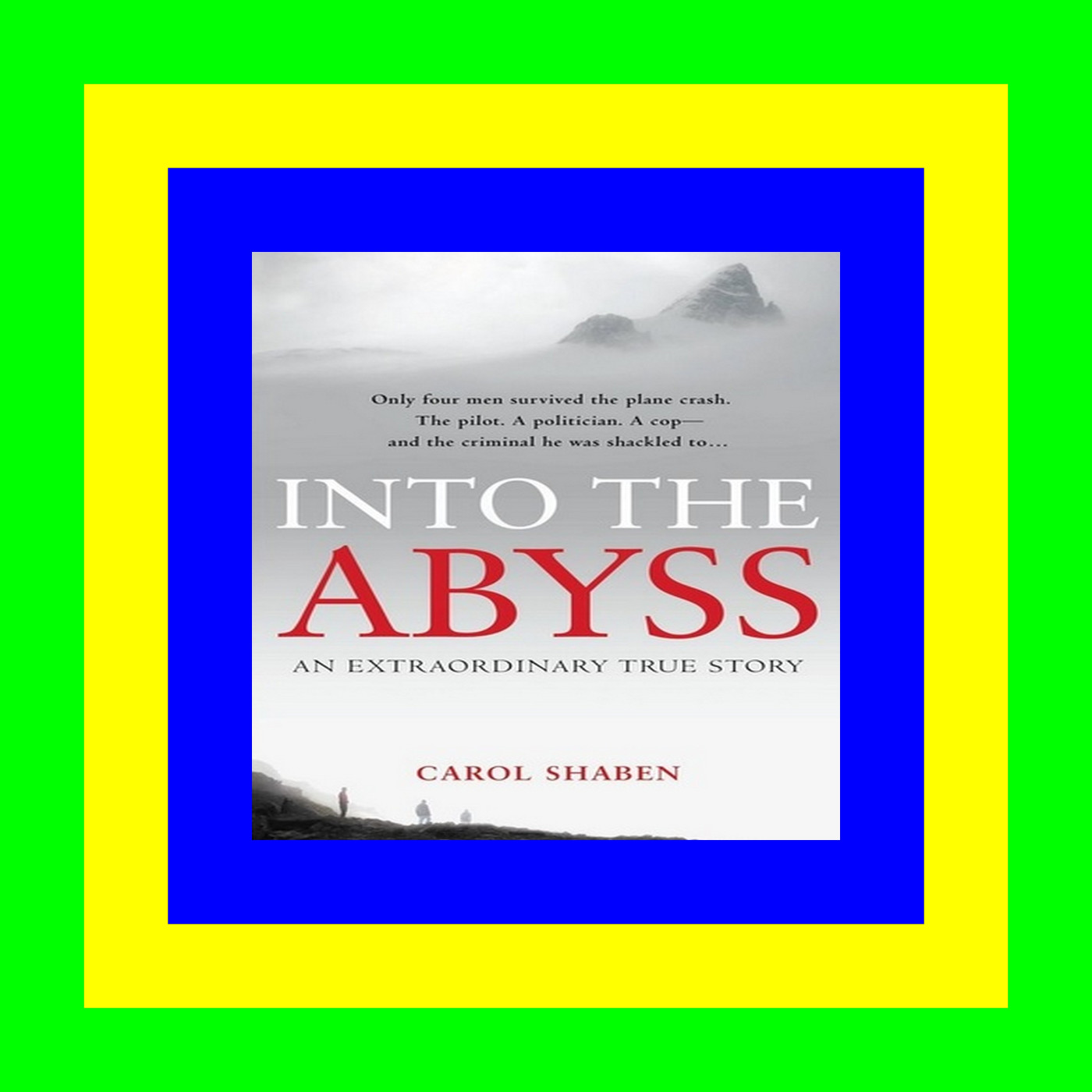 Full Book Into the Abyss How a Deadly Plane Crash Changed the Lives of a Pilot  a Politician  a Criminal and a Cop Read book &ePub